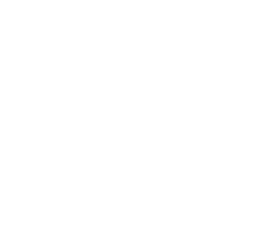 Beck Gun